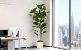 FLRLIVING low-maintenance decor with no watering or pruning required