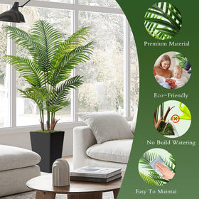 Flydeer palm tree with black trunk and leaves creates a bold, modern focal point.