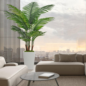 Lush Flydeer palm foliage adding natural atmosphere to any room.