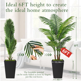 Flydeer palm leaves close-up reveals natural texture for maintenance-free greenery.