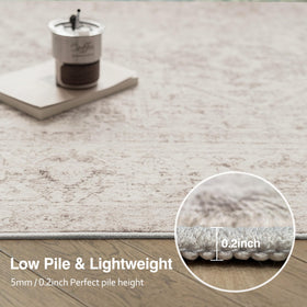 FMFUNCTEX soft, pet-friendly rug provides plush comfort for family spaces.