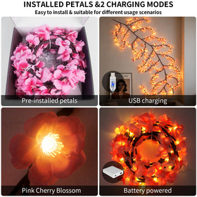 4 ft branch layout with pink blossoms on FNHMSL vine lights