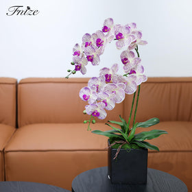 Fnize DIY orchid arrangement ideas to personalize your décor.