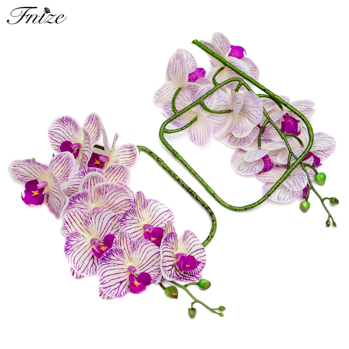 Fnize purple striped petals detail ideal for centerpieces and displays.