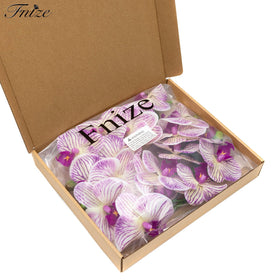 Fnize two-pack orchid stems providing a full, lush display.