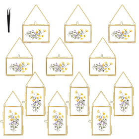 FOCHIER F double glass frame for pressed flowers, elegant wall display