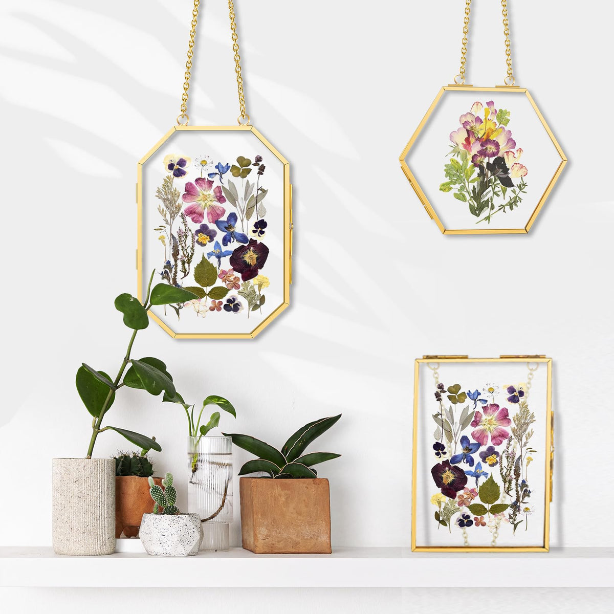 FOCHIER F pressed-flowers display set for stylish home decor.