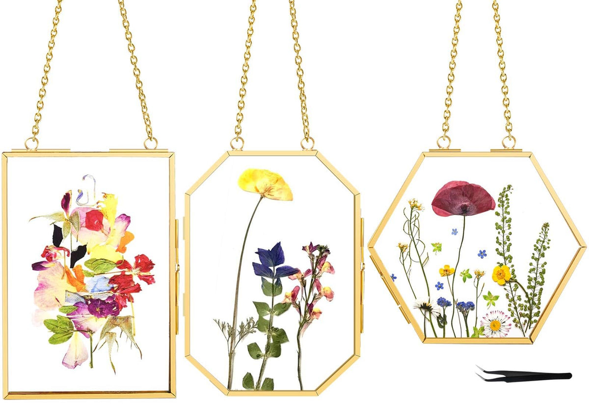 FOCHIER F rectangular 4x6 frame showcases pressed flowers with back-to-back viewing.