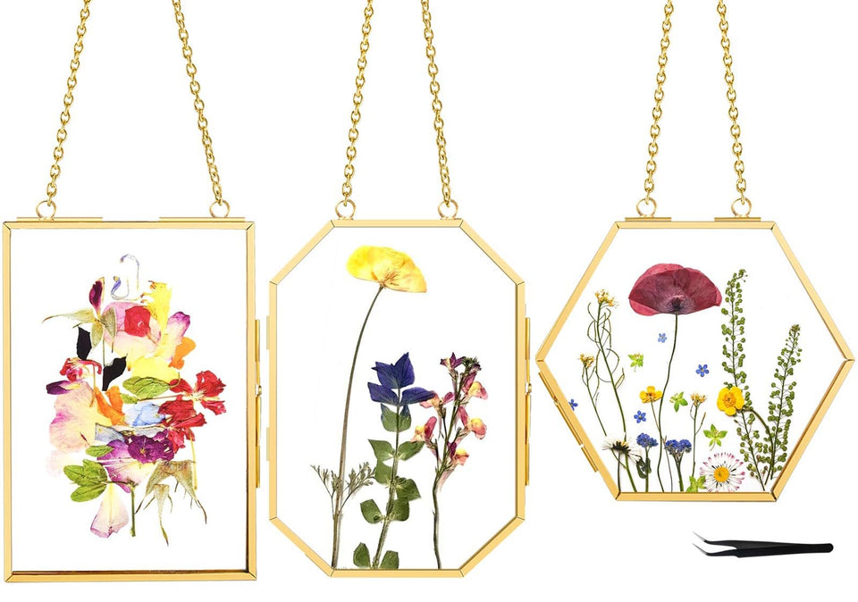 FOCHIER F rectangular 4x6 frame showcases pressed flowers with back-to-back viewing.