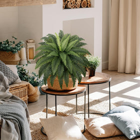 FOGSKY fake ferns maintenance-free décor that stays vibrant year-round.