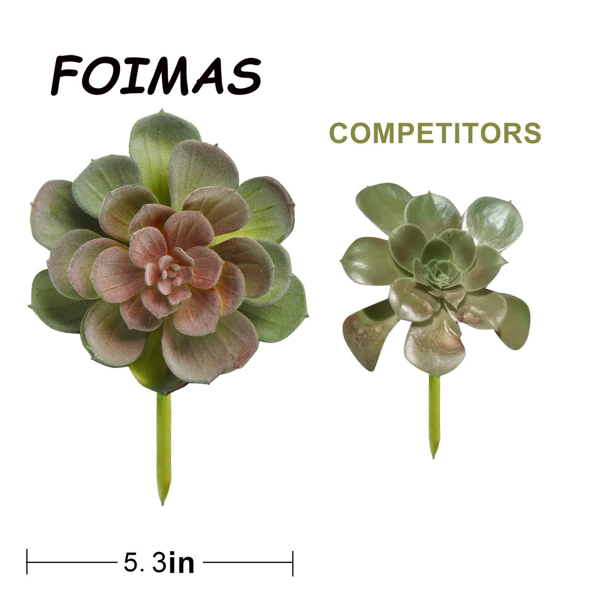 FOIMAS durable plastic construction supports long-term display