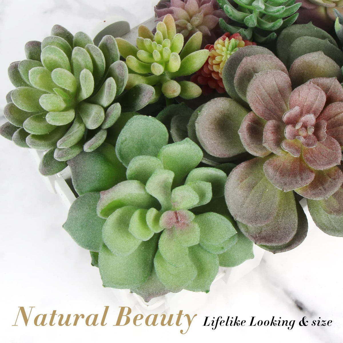FOIMAS flocked succulent detail offers a natural-looking texture