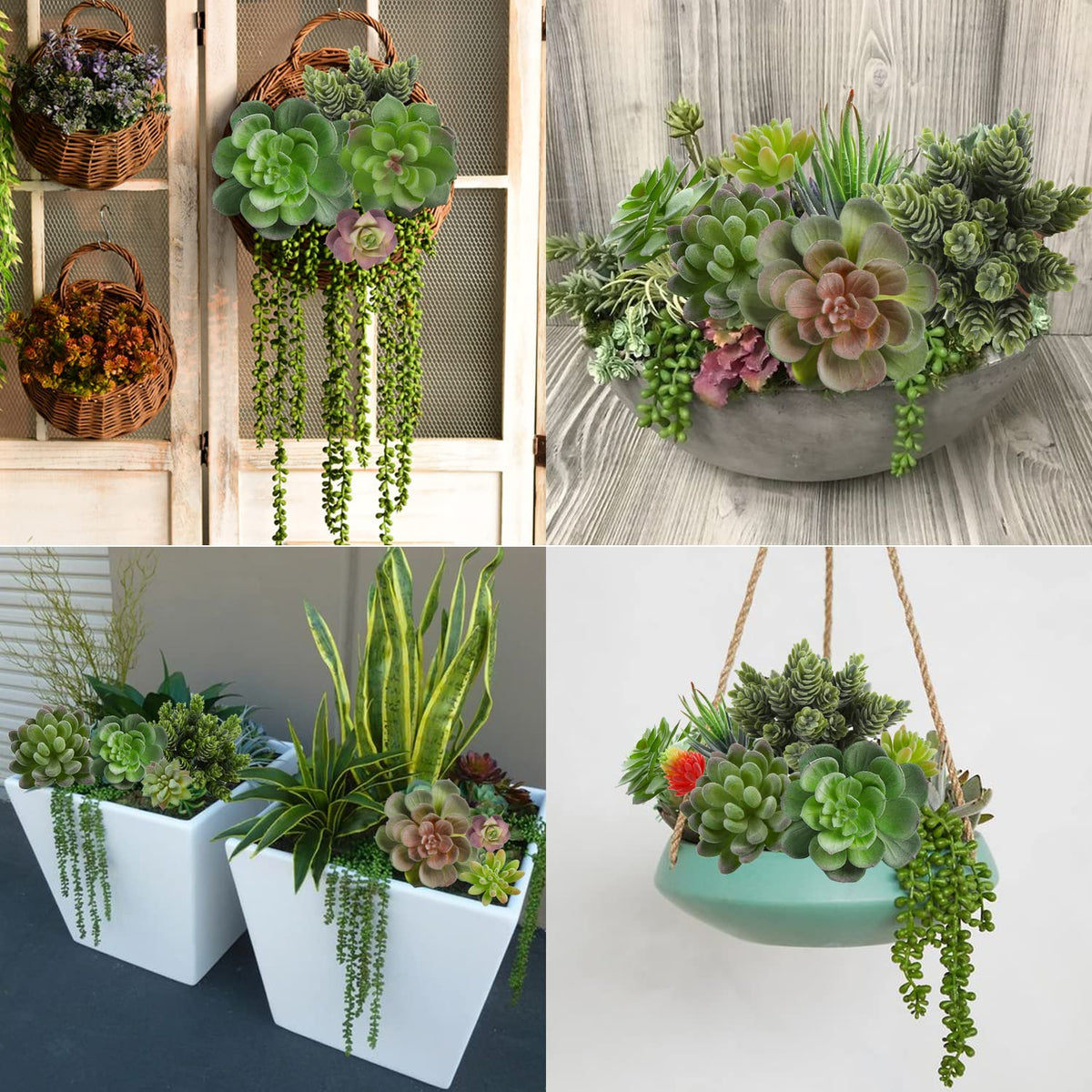 FOIMAS unpotted set enables easy mix with florals