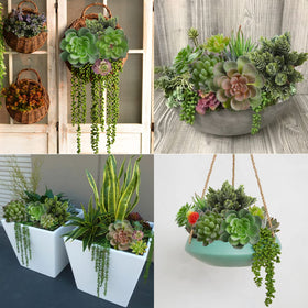FOIMAS unpotted set enables easy mix with florals