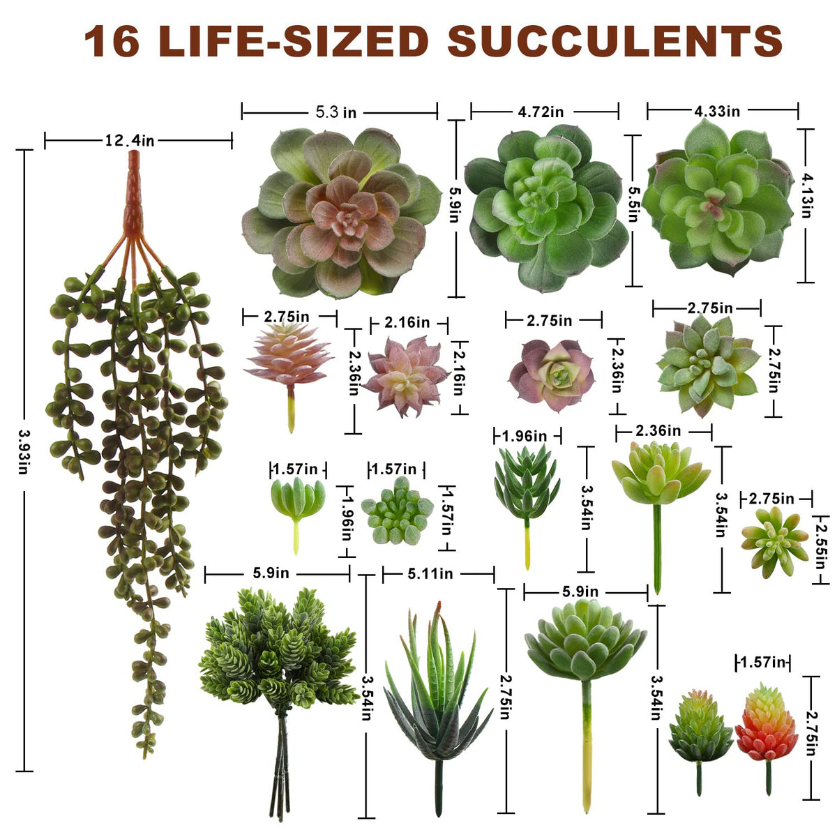 FOIMAS perfect for wreaths wall planters and centerpieces