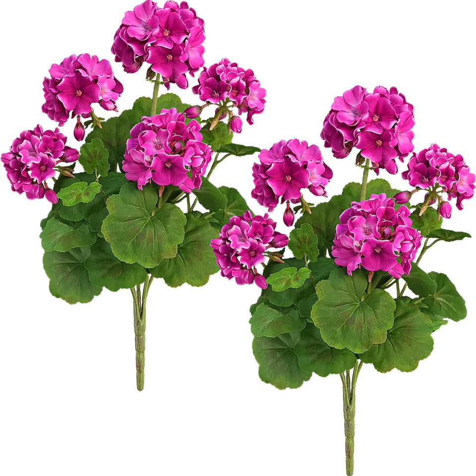 FOREST PRINCE 2pack 18-inch red geraniums outdoors close-up for vibrant year-round color