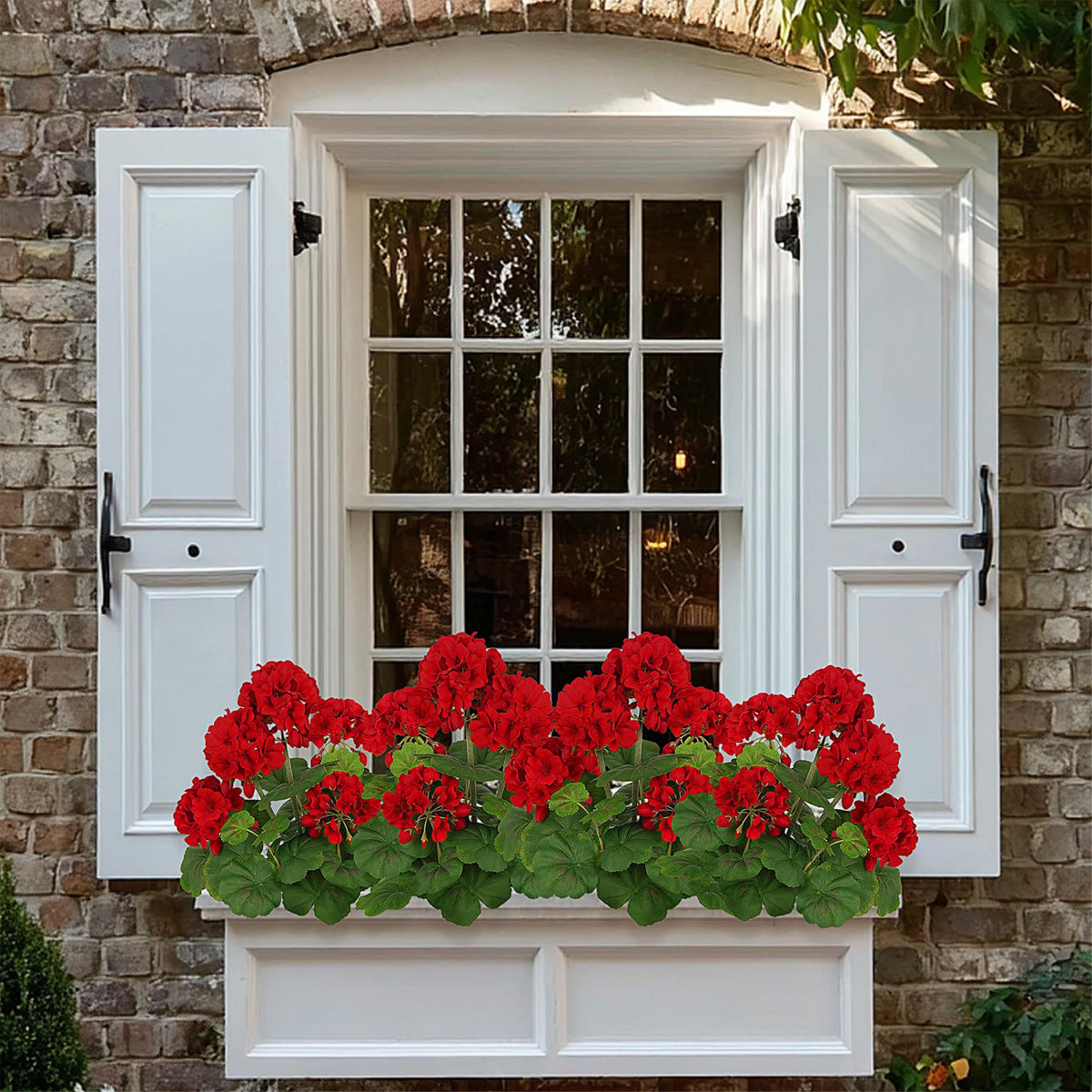 FOREST PRINCE all-weather geraniums withstand sun and rain