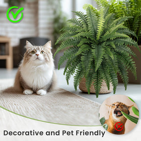 Forest Prince artificial Boston ferns offer low maintenance greenery year-round.