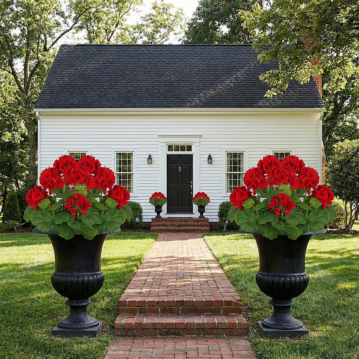 FOREST PRINCE easy-care flowers require no regular watering