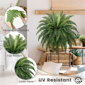 Forest Prince 35-inch ferns create a lush porch entrance vibe.