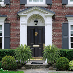 Forest Prince hanging fern decor enhances entryway or balcony display.