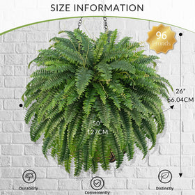 FOREST PRINCE large leaf fern canopy for garden or porch