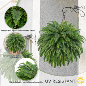 FOREST PRINCE outdoor fern spreads 50 inches for porch appeal.