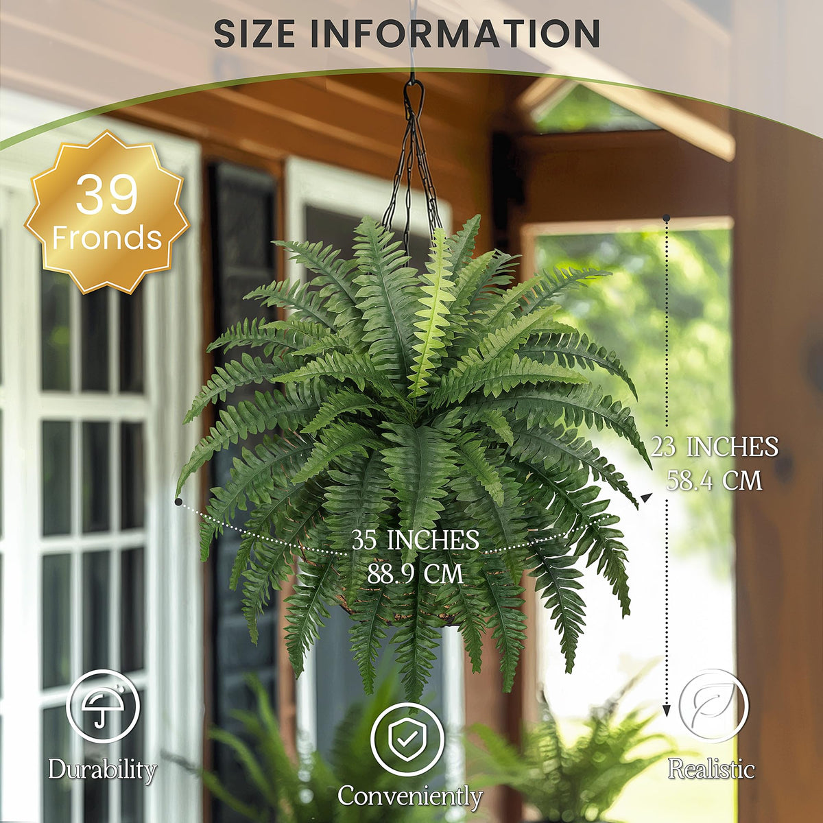 Forest Prince outdoor fern bushes arranged for patio decor with UV resistance.