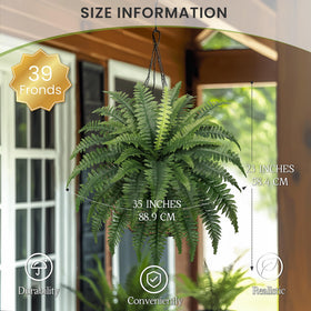 Forest Prince outdoor fern bushes arranged for patio decor with UV resistance.