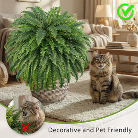 FOREST PRINCE UV-resistant design resists fading in sunlit areas.