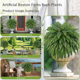 UV resistant FOREST PRINCE ferns ideal for sunlit corners