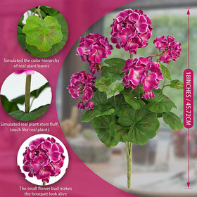 FOREST PRINCE UV-resistant magenta silk geraniums for sunlit areas