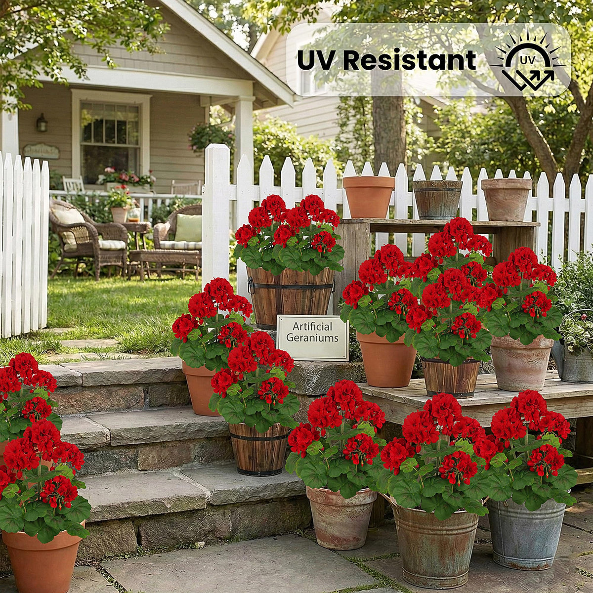 FOREST PRINCE vivid red petals showcase realistic texture