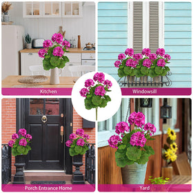 FOREST PRINCE washable durable geraniums for easy outdoor maintenance