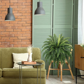 Forest Prince windowsill fern ensemble adds verdant charm to indoor spaces.