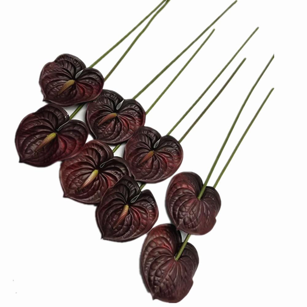 Forestmistry burgundy anthurium brightens home and hotel interiors