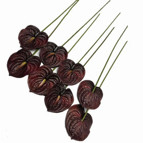 Forestmistry burgundy anthurium brightens home and hotel interiors