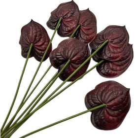Forestmistry burgundy anthurium centerpiece on a table