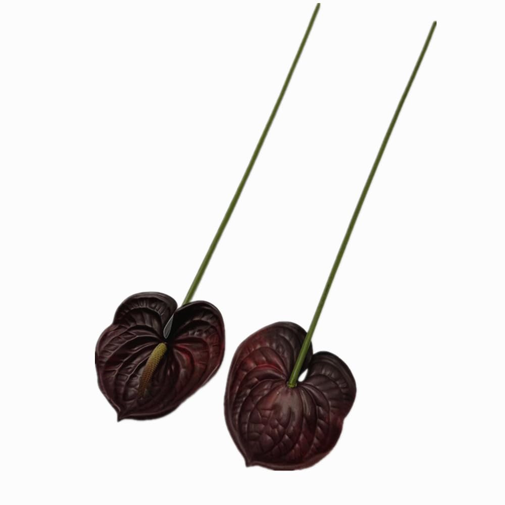 Forestmistry burgundy anthurium used in wedding decor concepts