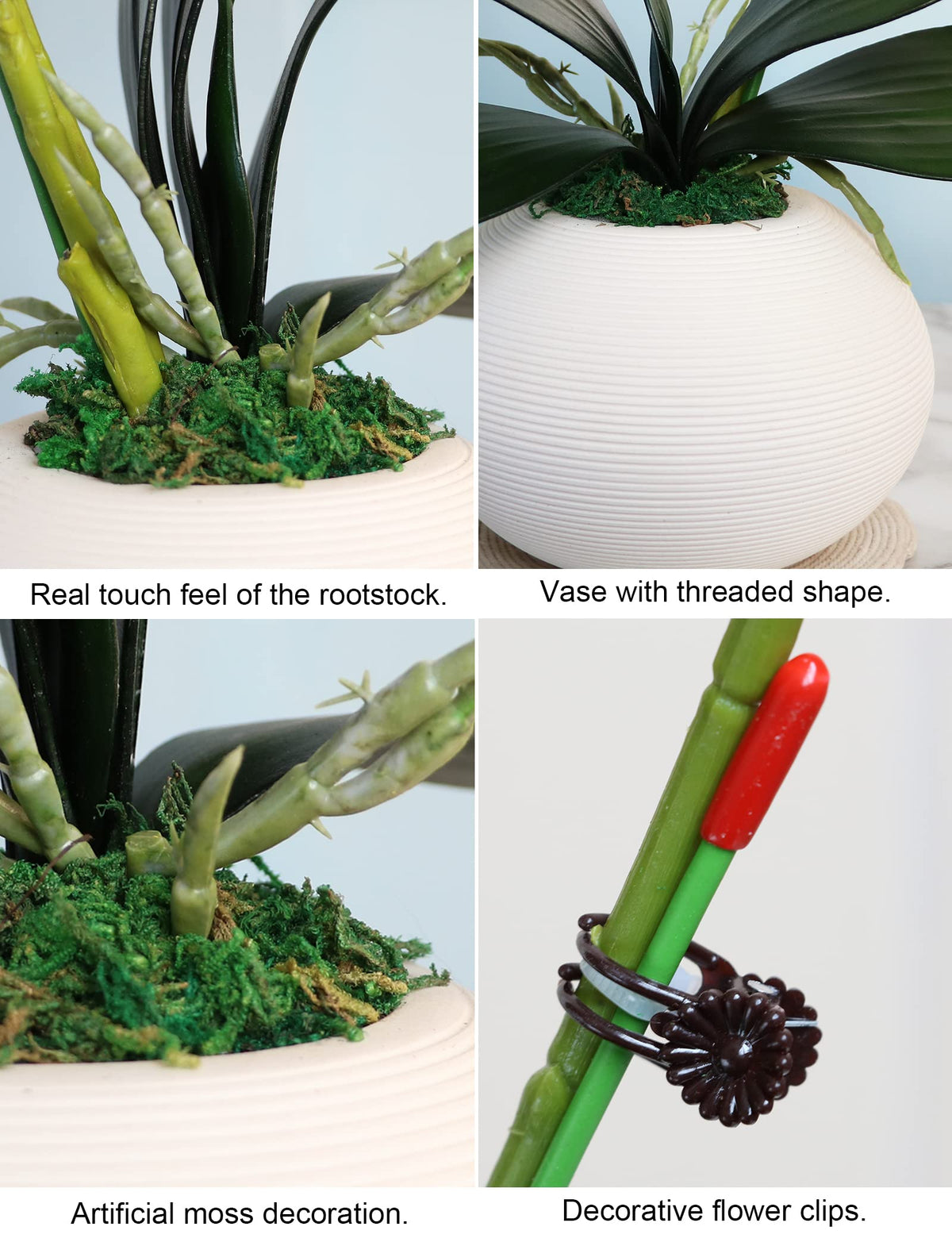 Forlaoers orchids suit living rooms, offices, and events.