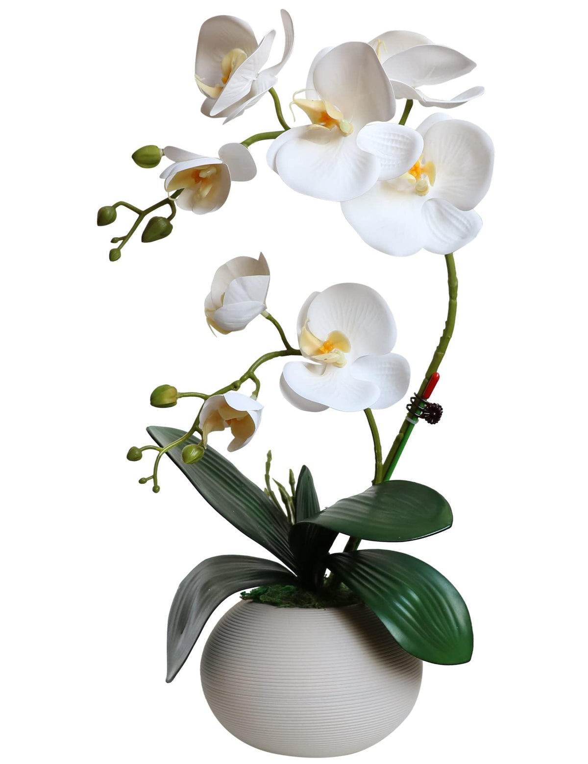Forlaoers tall 17-inch white orchid with vase adds elegant indoor décor.