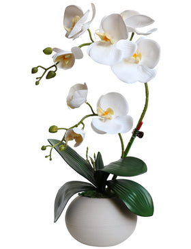 Forlaoers tall 17-inch white orchid with vase adds elegant indoor décor.