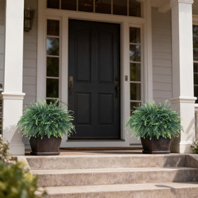 FOTEEWL lush-appearance ferns enhance living rooms and outdoor corners