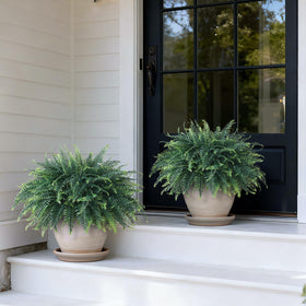 FOTEEWL potted ferns brighten patio or terrace with realistic leaves