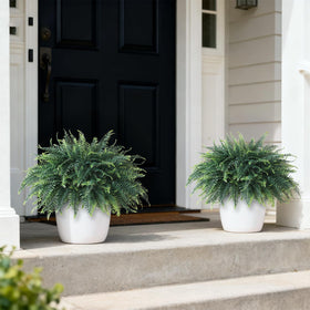 FOTEEWL fern arrangement on a porch entry remains vibrant outdoors