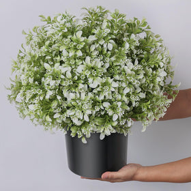 Foteewl boxwood topiary packaging image showing ready-to-decorate setup