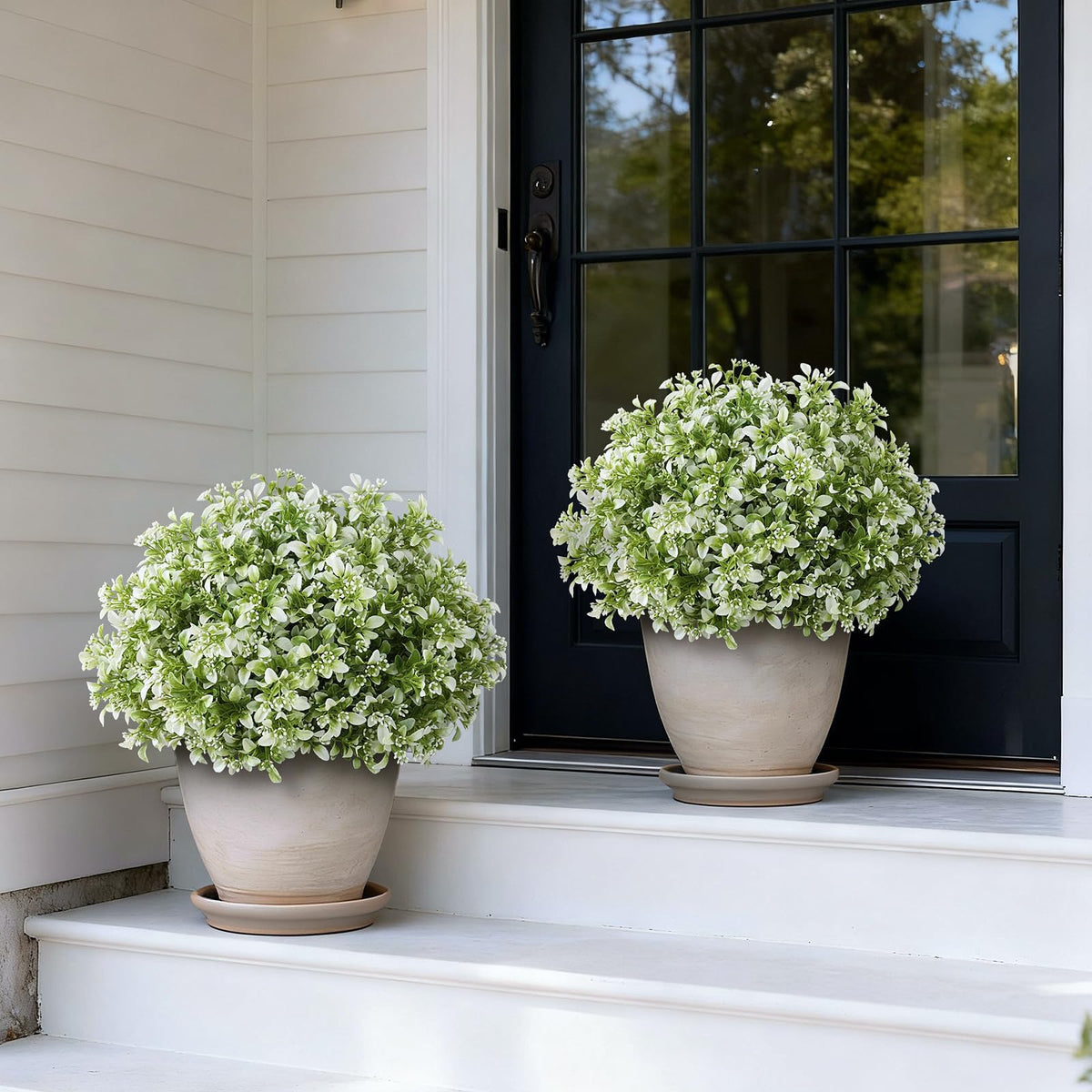 Foteewl boxwood topiary set side view showing compact outdoor display