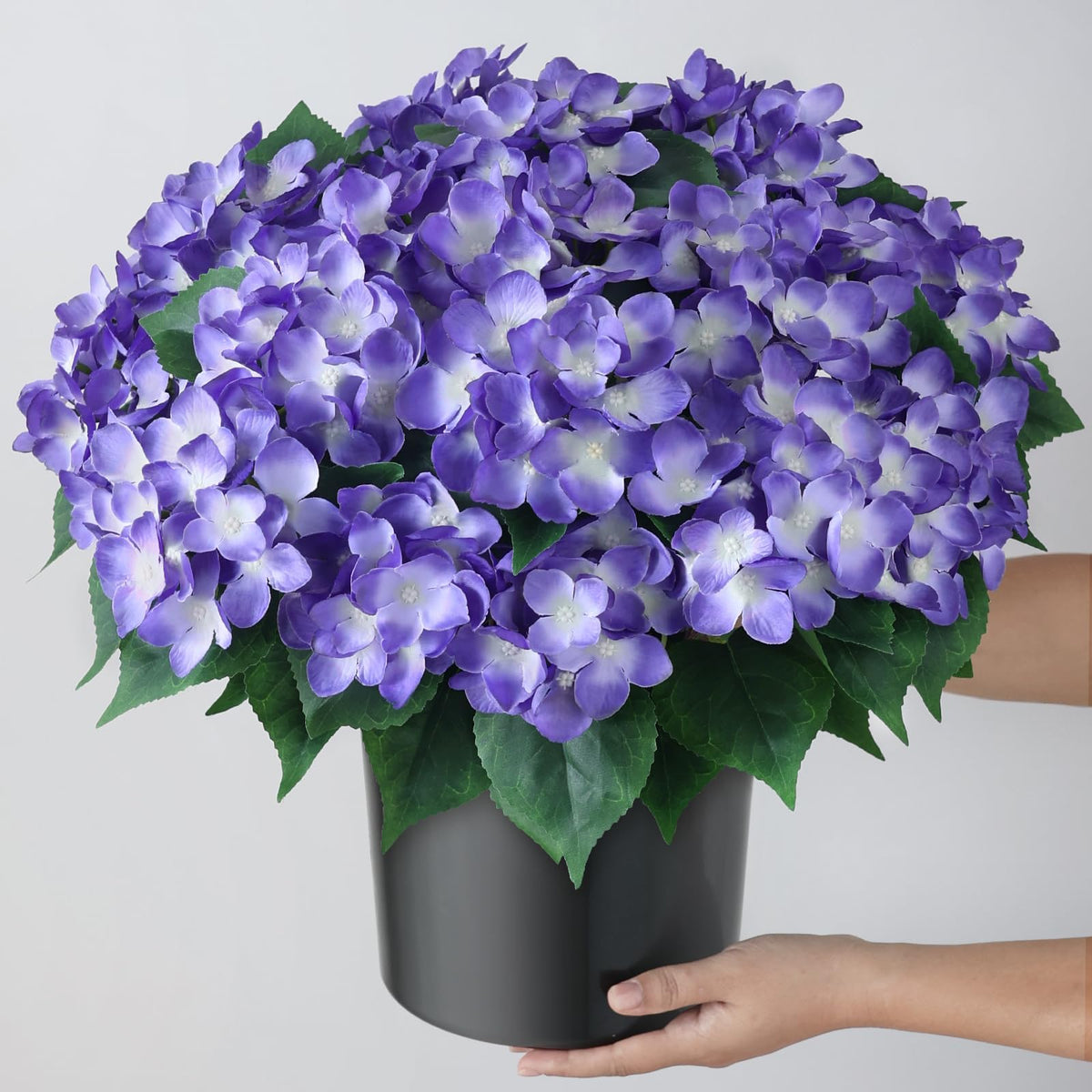 Front-door decor option with hydrangea topiary for welcoming spaces.