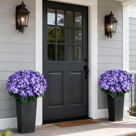 Hydrangea topiary with black pot close-up for elegant planter display.