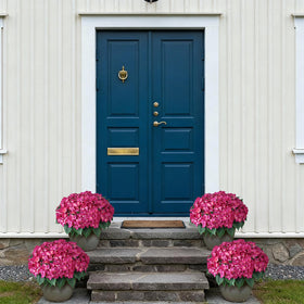 FOTEEWL Realistic hydrangea leaves and blossoms enhance any space.